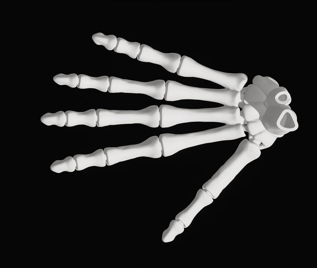 Flexi-Toy Hand White