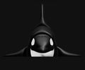 Flexi-Toy Orca Black/White